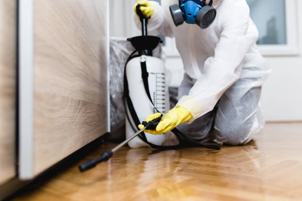 Professional Pest Control in Sweetwater, TN