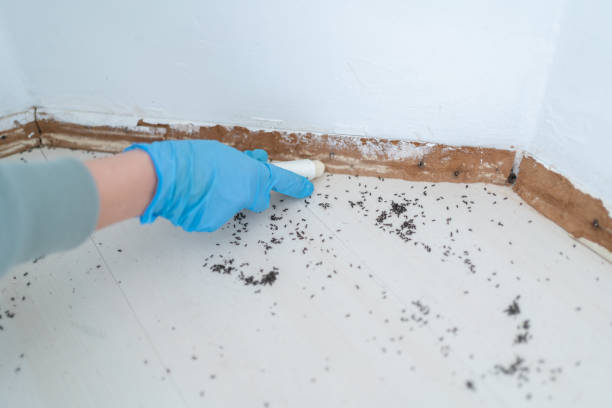 Best Residential Pest Control  in Sweetwater, TN