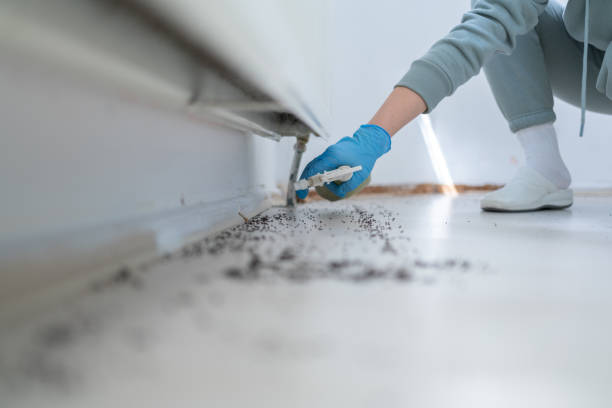 Best Insect Control  in Sweetwater, TN