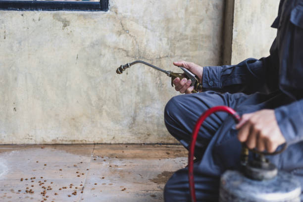 Best Rat Extermination Near Me  in Sweetwater, TN